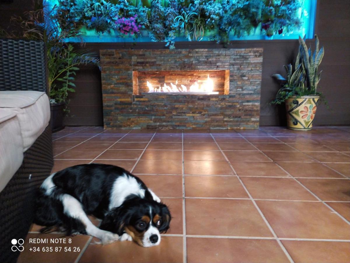 3 Bdr House Near La Zenia Private Lounge Terraces, Fire Places, Bbq, Kitchen, Parking Oriola  Exterior foto